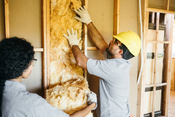 Trusted Dakota Ridge, CO Insulation Contractor Experts